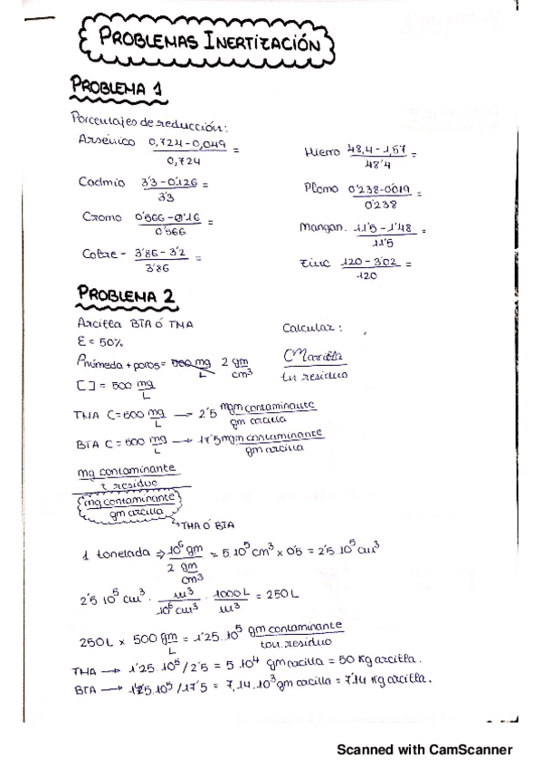 Miniatura del documento Problemas Inertización - CCI.pdf