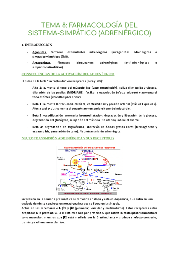 Miniatura del documento TEMA-8-FARMACOLOGIA-DEL-SISTEMA-SIMPATICO-ADRENERGICO.pdf