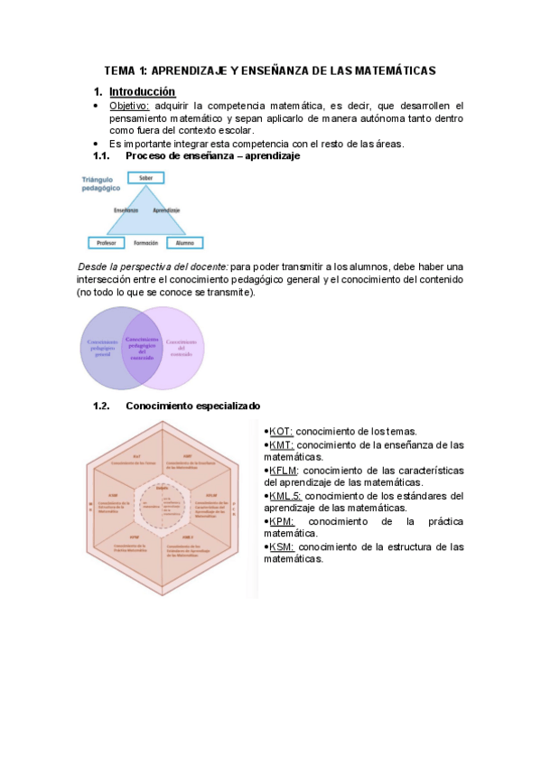 Miniatura del documento APRENDIZAJE-Y-ENSENANZA-DE-LAS-MATEMATICAS-tema-1.pdf