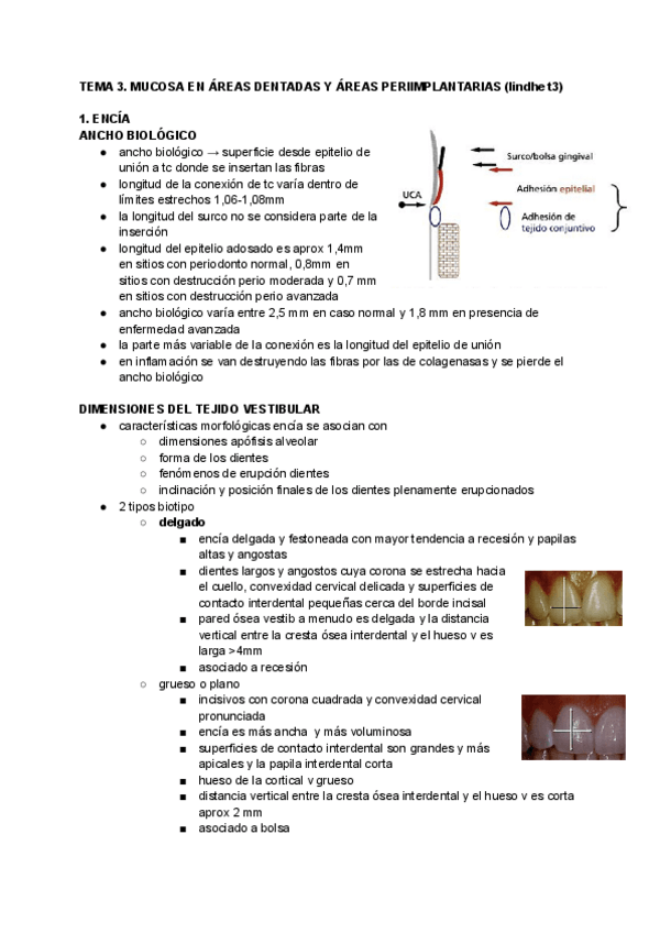 Miniatura del documento TEMA-3.pdf