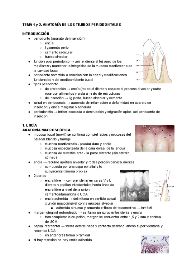 Miniatura del documento TEMA-1-y-2-PERIO.pdf