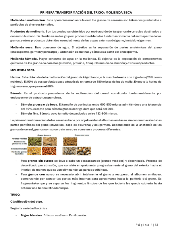 Miniatura del documento MOLIENDA-SECA.-TRIGO.pdf