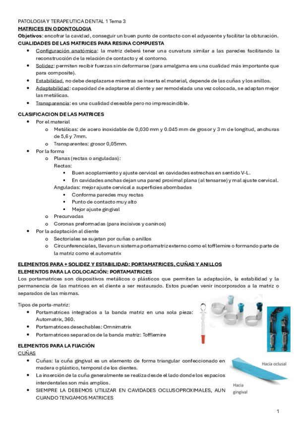 Miniatura del documento PATOLOGIA-Y-TERAPEUTICA-DENTAL-1-Tema-3.pdf