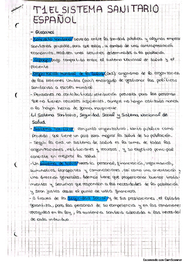 Miniatura del documento Sistema sanitario español.pdf