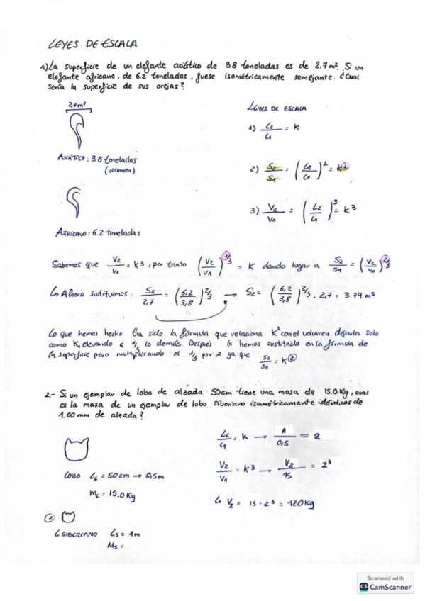 Miniatura del documento Ejercicios-de-Leyes-de-escala.pdf