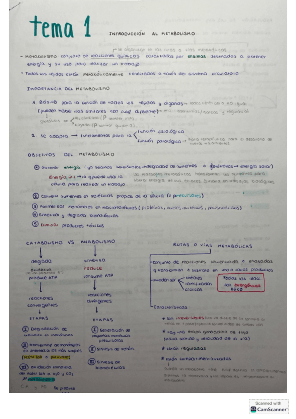 Miniatura del documento apuntes-primer-parcial-BIOQ-II.pdf
