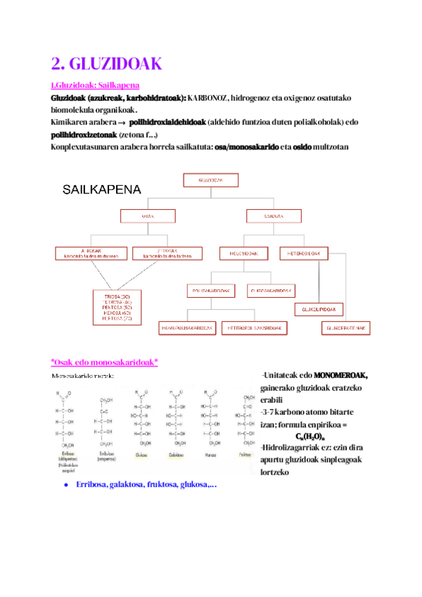 Miniatura del documento bioapunteak-2.pdf