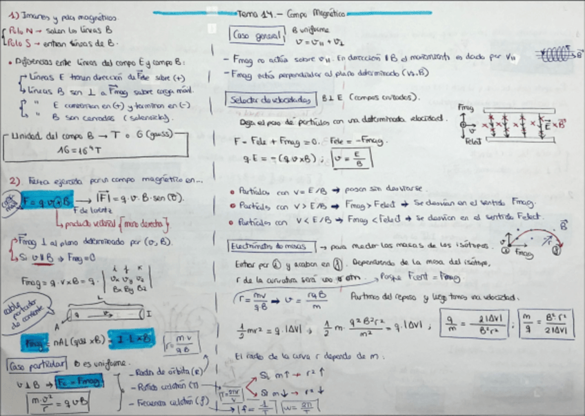 Miniatura del documento ResumenTema-14Campo-Magnetico.pdf