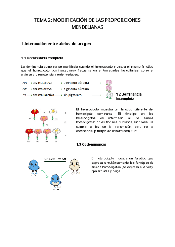 Miniatura del documento apuntes-T2-y-T3.pdf