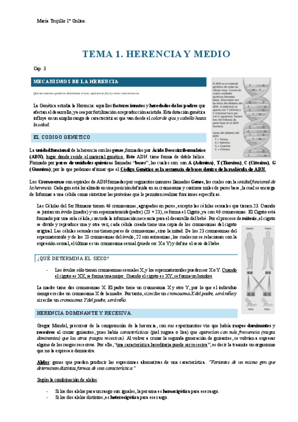 Miniatura del documento TEMA-1.-VITAL.pdf