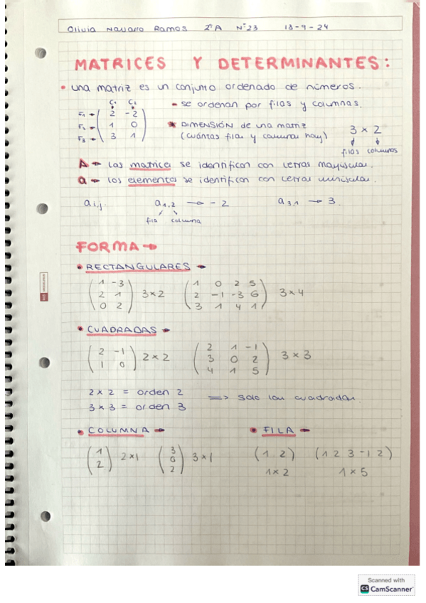Miniatura del documento MATRICES.pdf