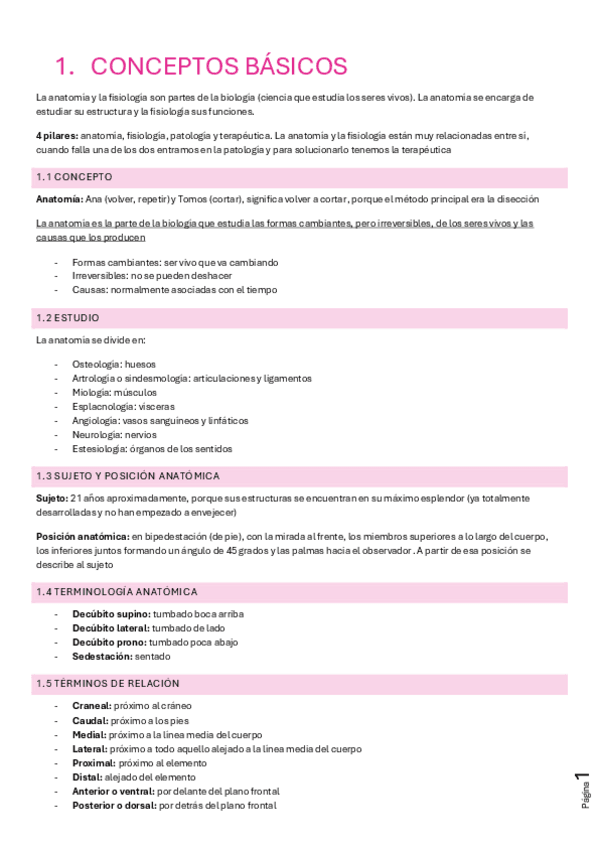 Miniatura del documento anatomia.pdf