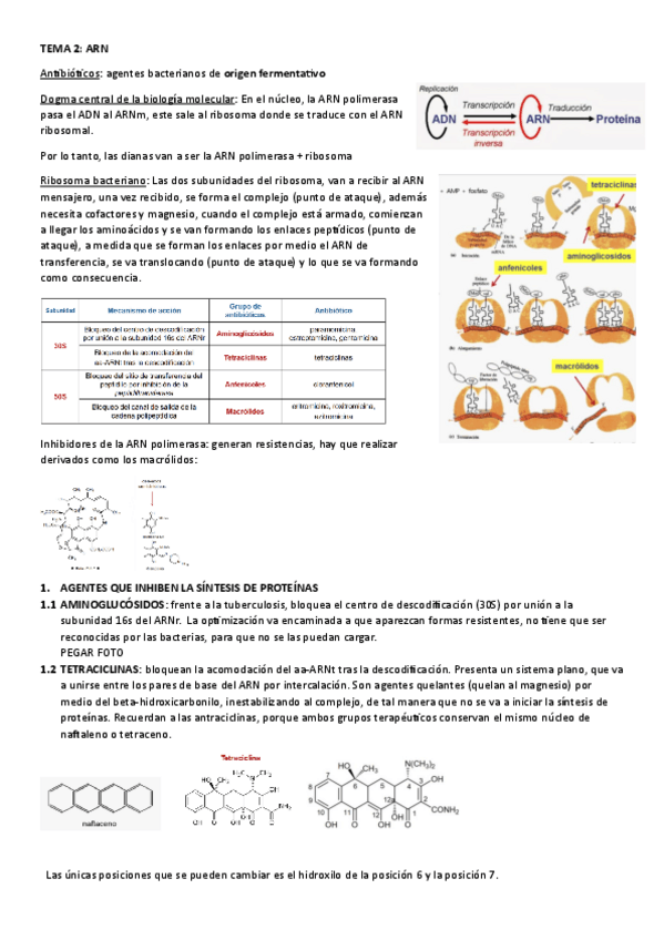 Miniatura del documento TEMA-2.-ARN.pdf