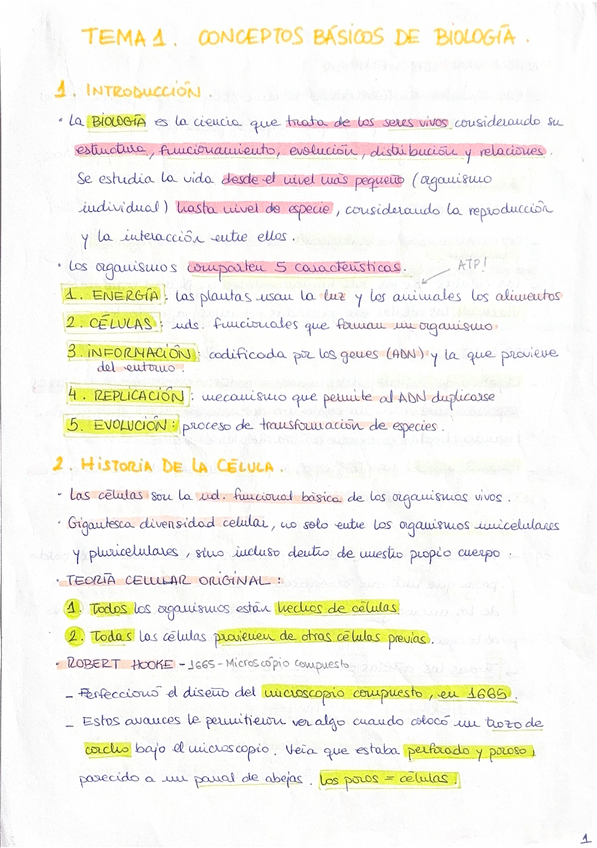 Miniatura del documento TEMA-1.-CONCEPTOS-BASICOS.pdf
