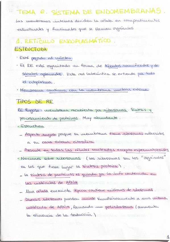 Miniatura del documento Tema-6.pdf