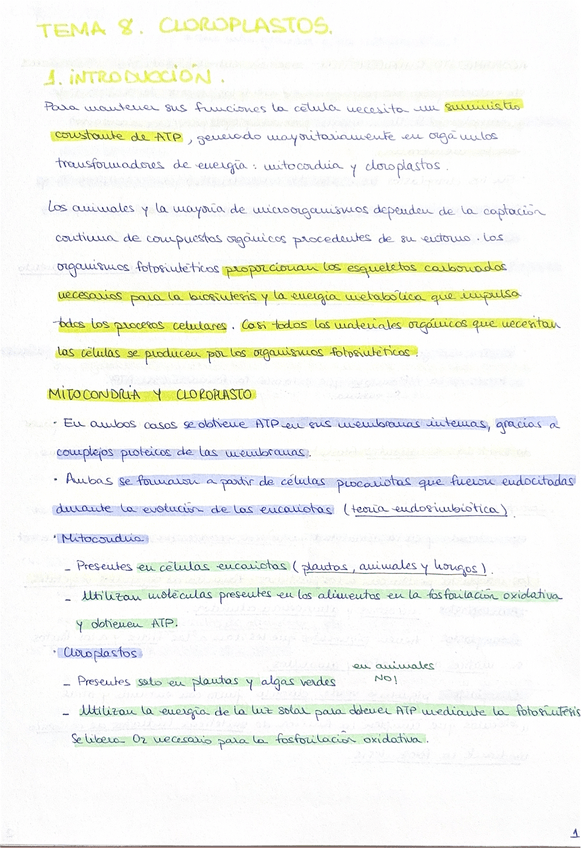 Miniatura del documento Tema-8.pdf