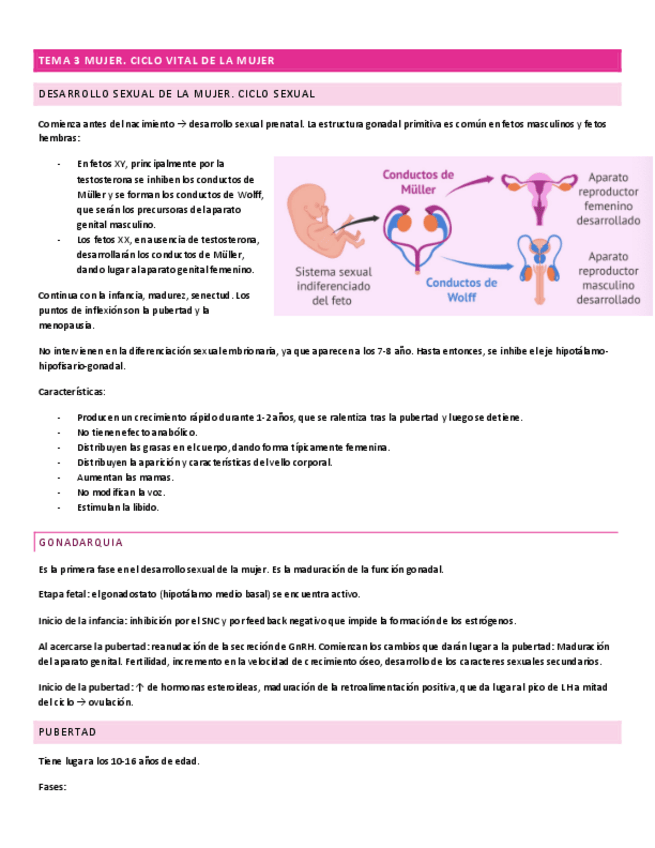 Miniatura del documento TEMA-3-MUJER.pdf