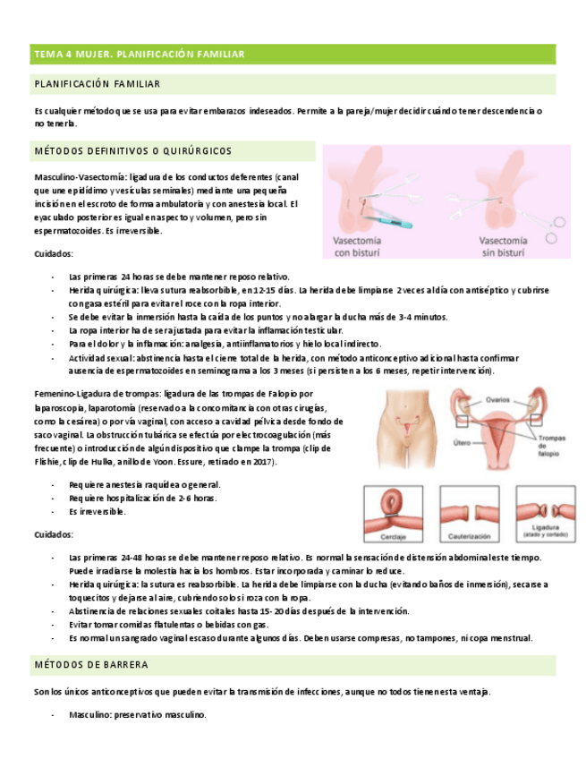 Miniatura del documento TEMA-4-MUJER.pdf