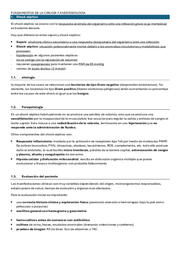 Miniatura del documento Shock-septico.pdf