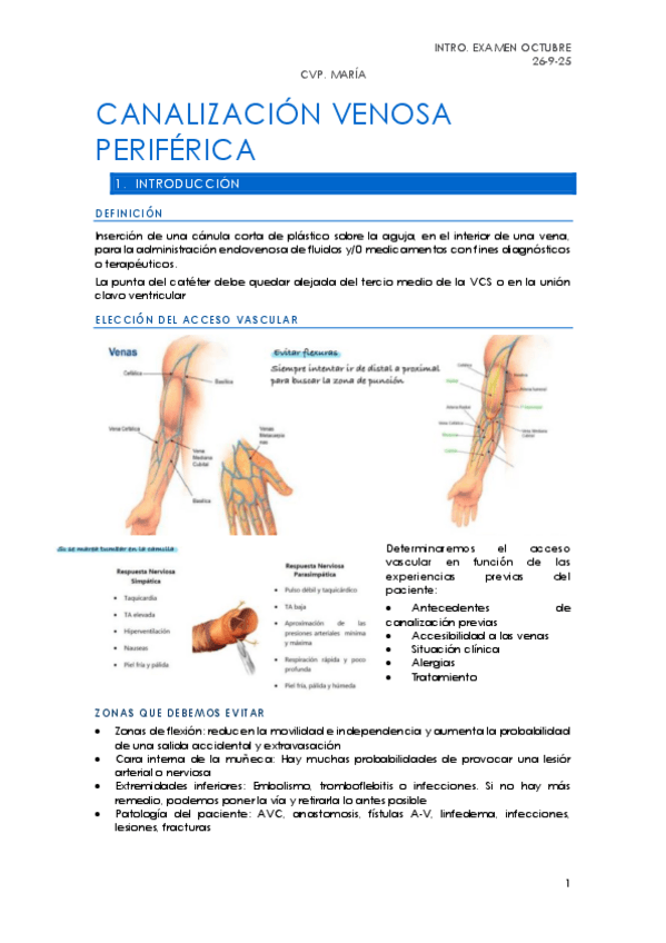 Miniatura del documento CVP-completo.pdf