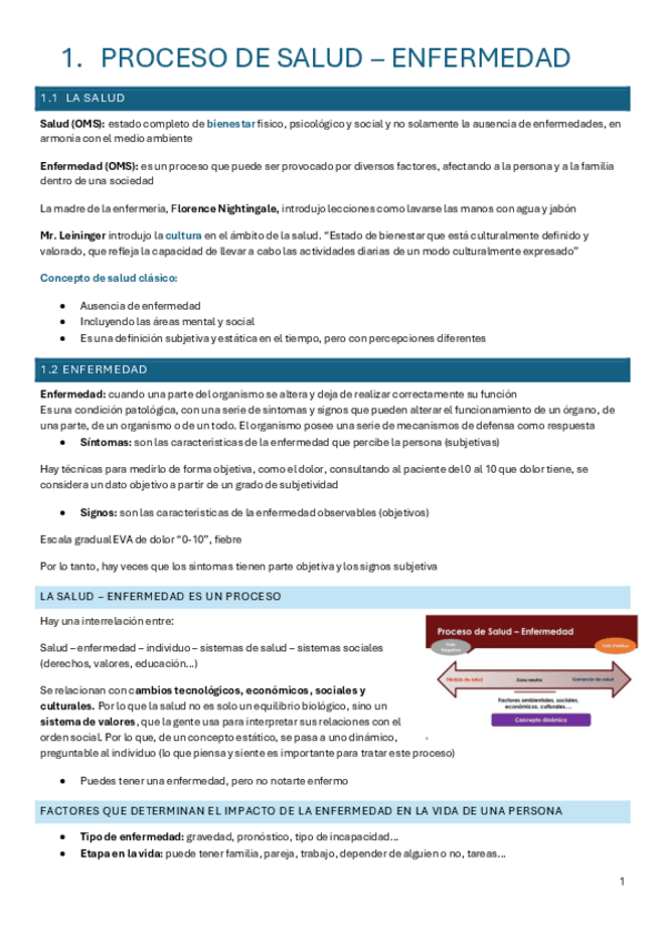 Miniatura del documento enfermeria-social-entero.pdf