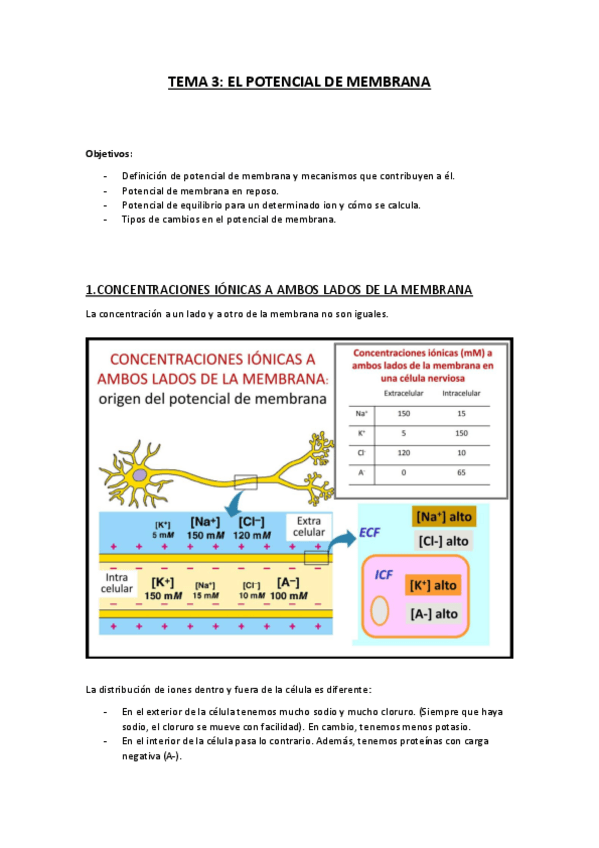 Miniatura del documento TEMA 3.pdf