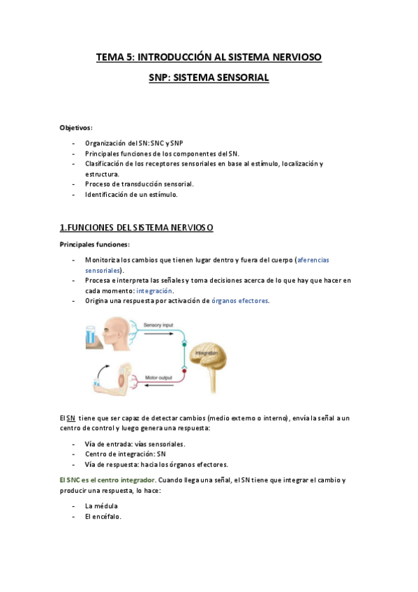 Miniatura del documento TEMA 5.pdf