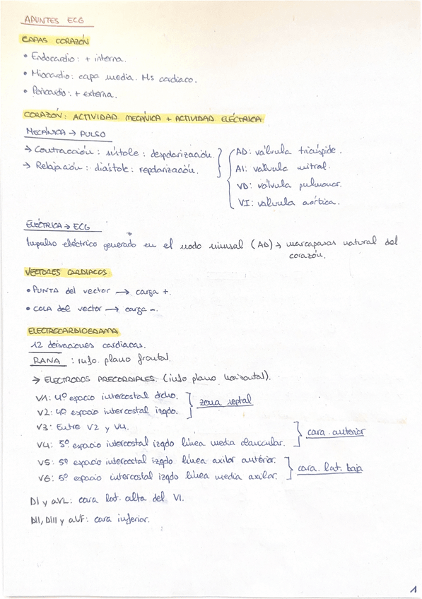 Miniatura del documento ECG-APUNTES-T1-T11.pdf