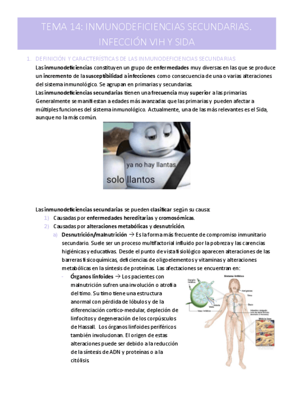 Miniatura del documento Tema-14.pdf