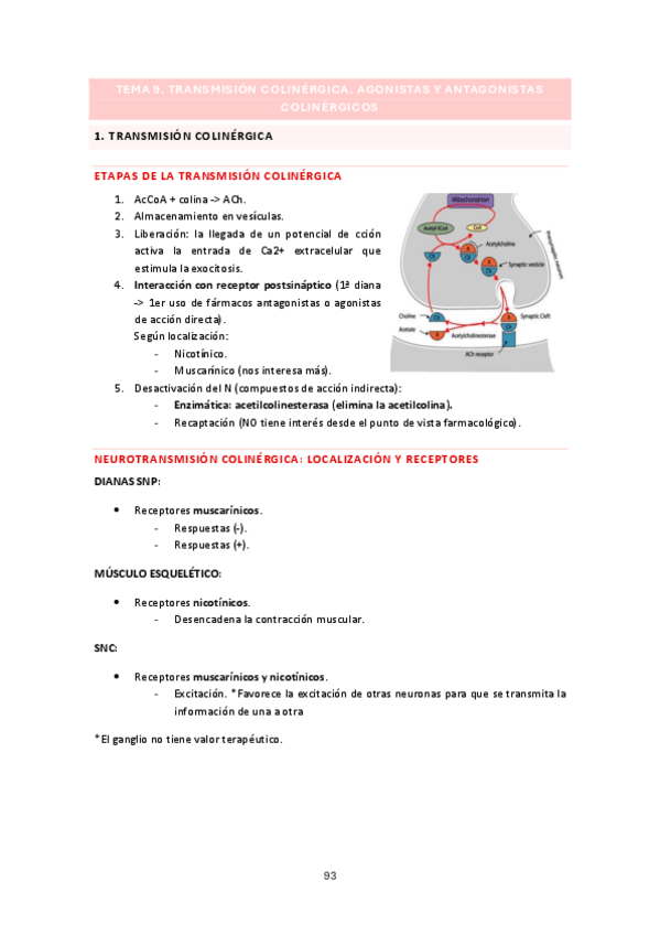 Miniatura del documento APUNTES-TEMA-9-FARMA.pdf