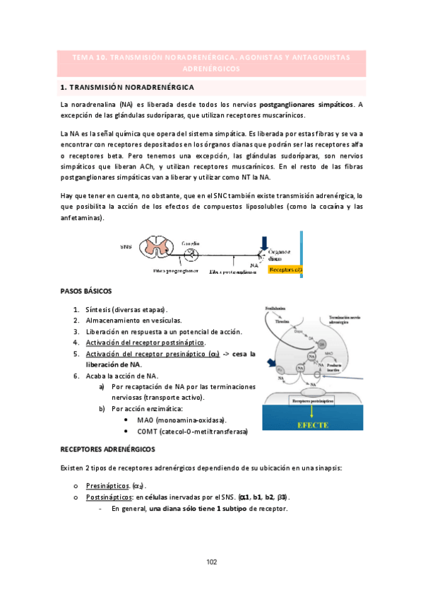Miniatura del documento APUNTES-TEMA-10-FARMA.pdf