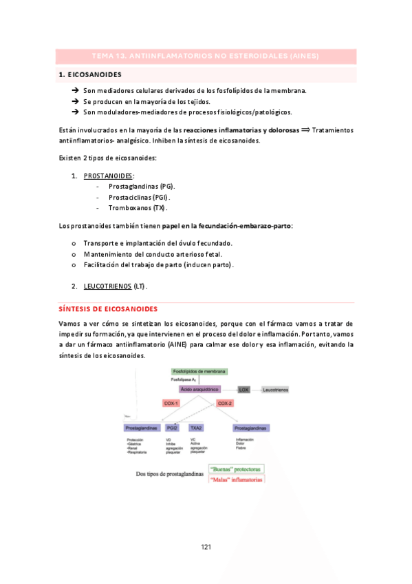 Miniatura del documento APUNTES-TEMA-13-FARMA.pdf
