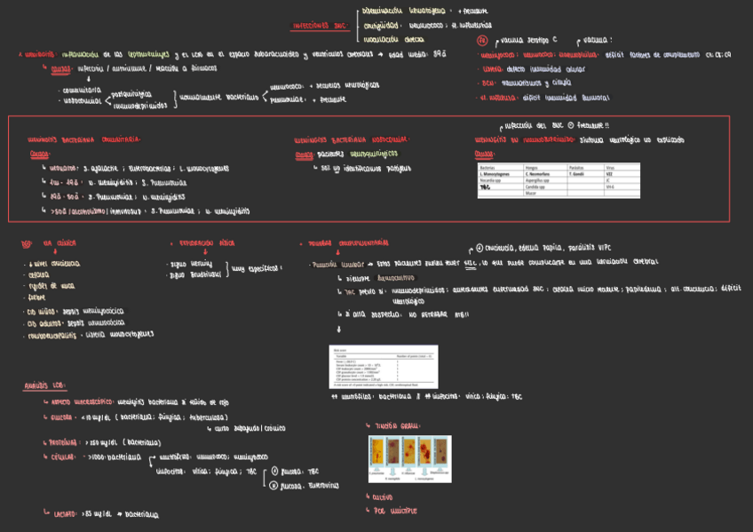 Miniatura del documento INFECCIONES-SISTEMA-NERVIOSO-CENTRAL.pdf