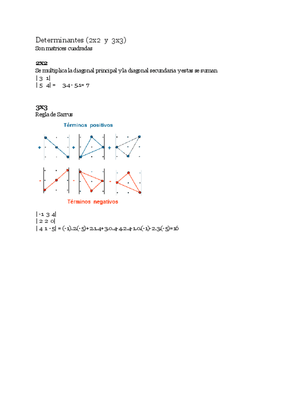 Miniatura del documento Determinantes.pdf