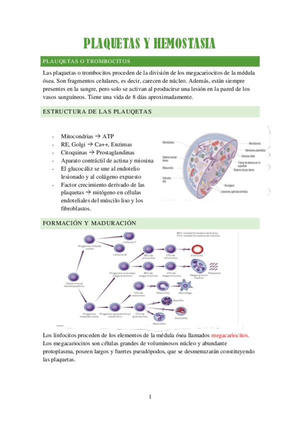 Miniatura del documento PLAQUETAS-Y-HEMOSTASIA.pdf