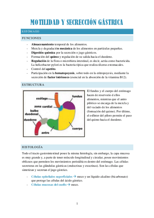Miniatura del documento MOTILIDAD-Y-SECRECCION-GASTRICA.pdf