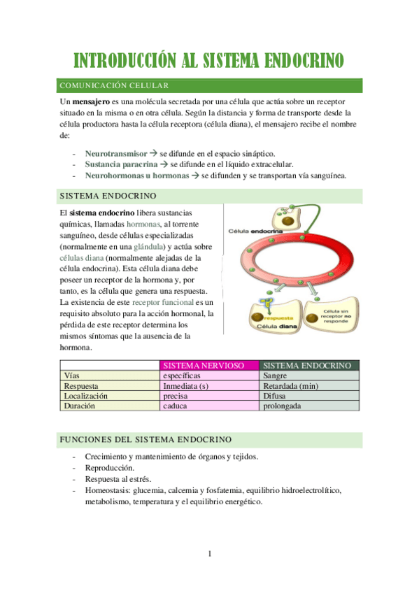 Miniatura del documento INTRODUCCION-AL-SISTEMA-ENDOCRINO.pdf