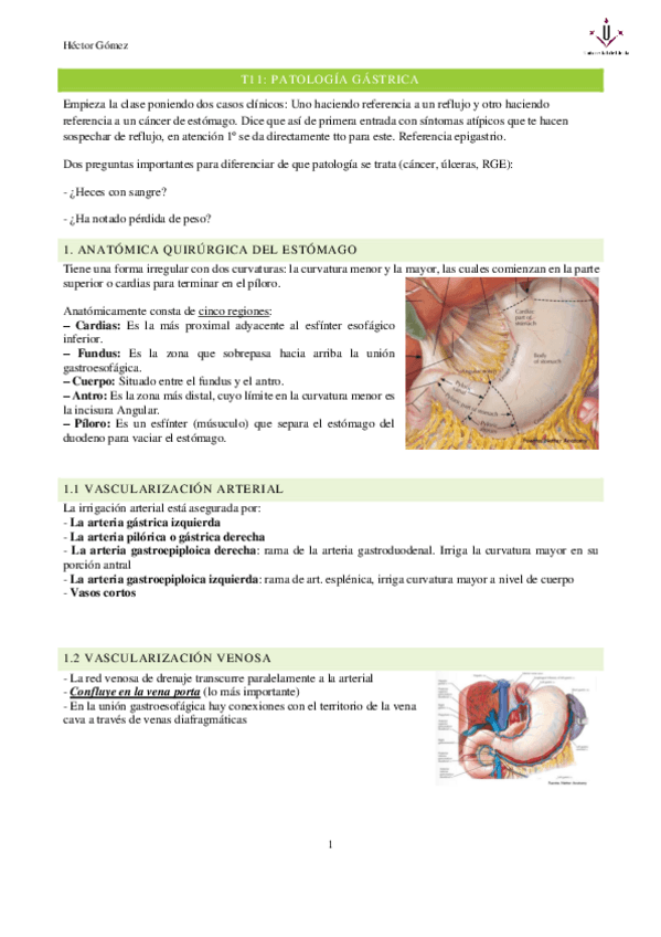 Miniatura del documento T11-Patologia-gastrica.pdf