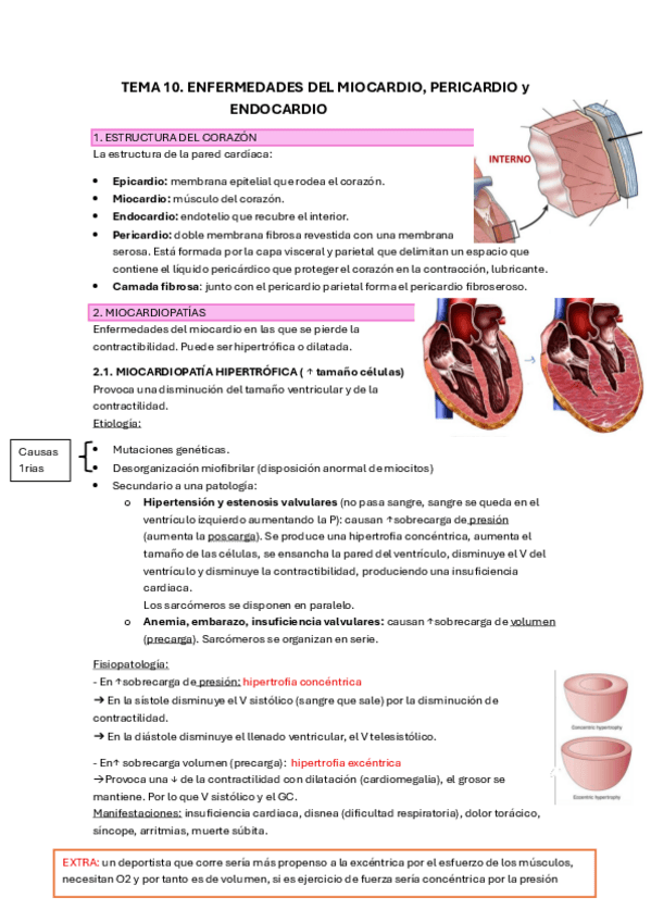 Miniatura del documento TEMA-10.pdf