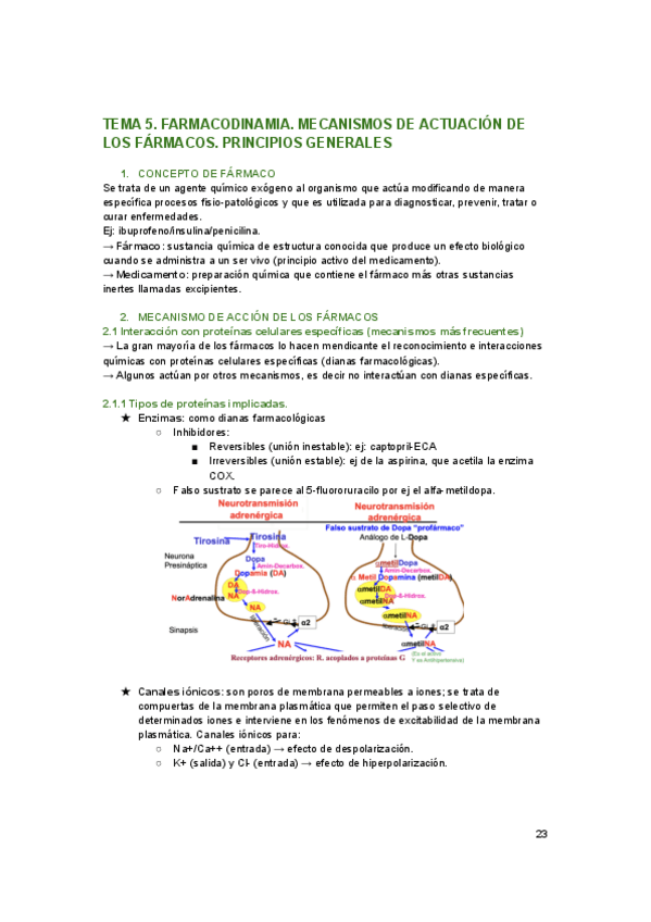 Miniatura del documento tema-5.pdf