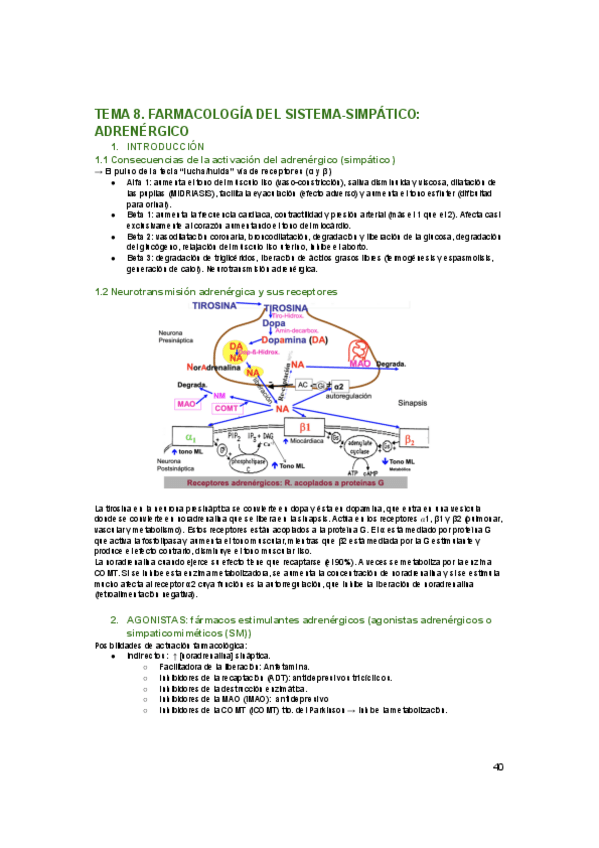 Miniatura del documento tema-8.pdf