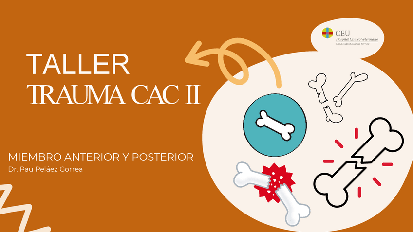 Miniatura del documento TALLER-TRAUMA-FRACTURAS-MIEMBRO-ANTERIOR-Y-POSTERIOR-25-26.pdf