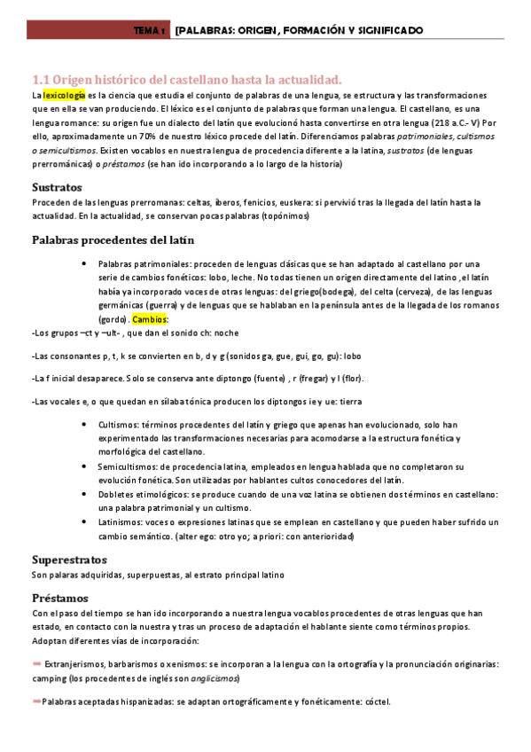 Miniatura del documento TEMA-1-LENGUA.pdf