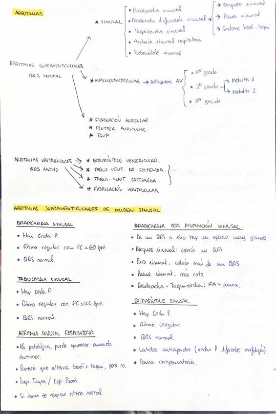 Miniatura del documento ECG-T12-T17.pdf