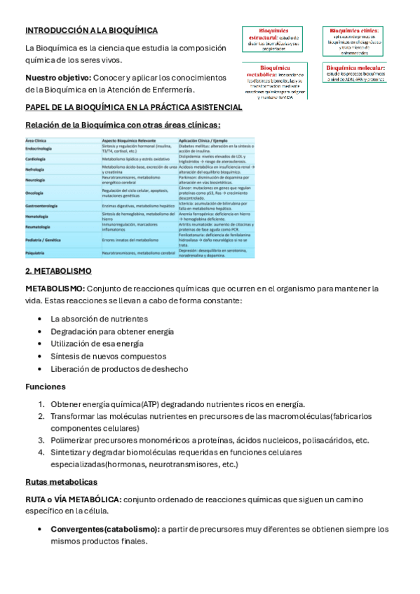 Miniatura del documento TEMA-1-BIOQUIMICA.pdf