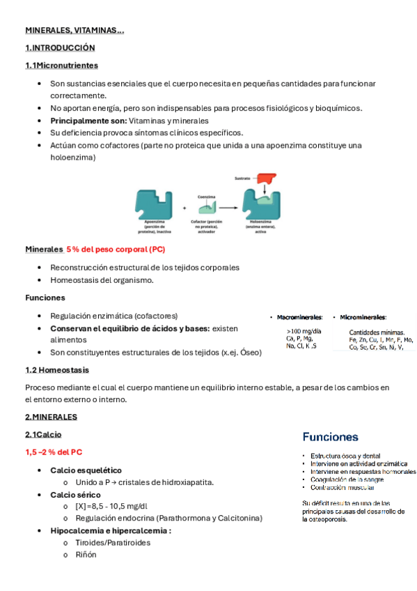 Miniatura del documento TEMA-2-BIOQUIMICA.pdf
