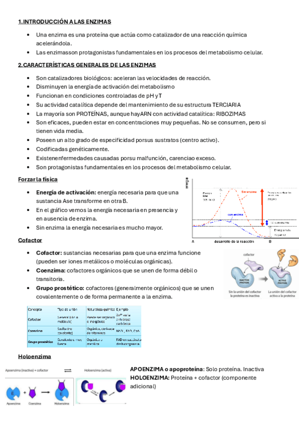 Miniatura del documento TEMA-3-BIOQUIMICA.pdf
