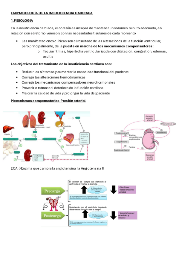 Miniatura del documento TEMA-19-FARMACOLOGIA.pdf