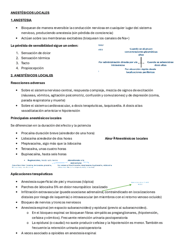 Miniatura del documento TEMA-15-FARMACOLOGIA.pdf