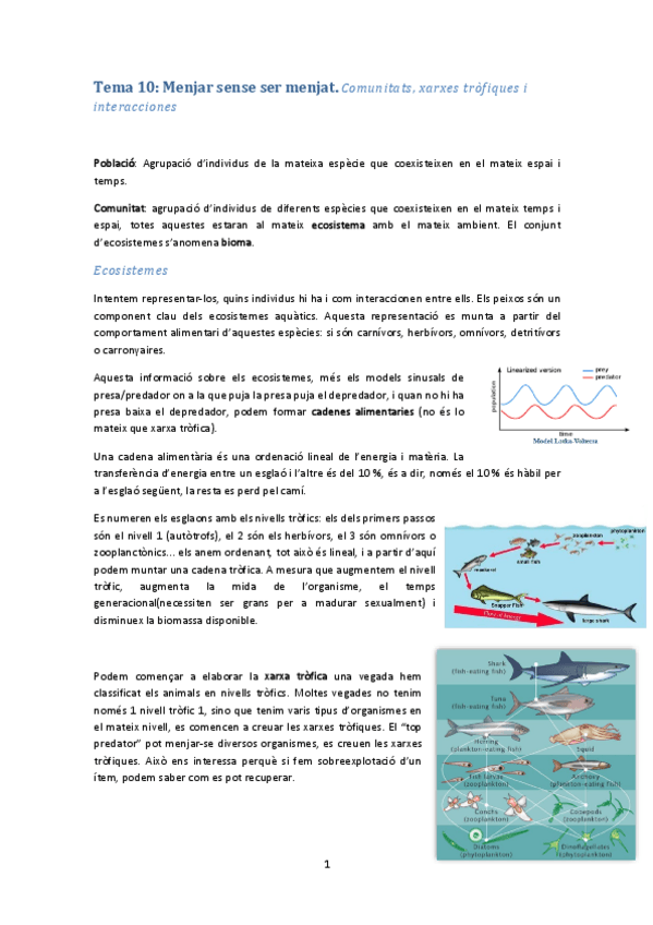 Miniatura del documento Tema 10.pdf